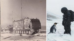 На полярную станцию вышел человек из за ледяной стены Антарктиды. 1976 год.