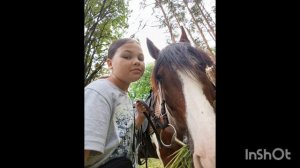 я и моя ещё одна жизнь ❤️🐎💖