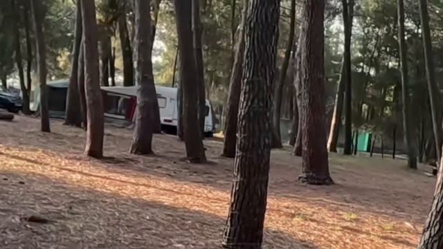 Абхазия/Палаточный городок 9.08.2026/Отдыхаем на море