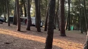 Абхазия/Палаточный городок 9.08.2026/Отдыхаем на море