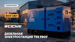 Дизель-генератор TSS Prof 200 кВт | Двигатель Weichai | Полный обзор