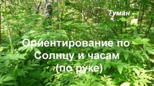 Ориентирование по Солнцу и часам (по руке)