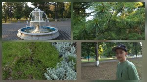 #23 Наша жизнь в Краснодарском крае. Покупки и распаковки. Подготовка к школе.  Прогулка по парку