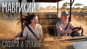 Водопады и тигры | Или чем еще можно заняться на Маврикии?