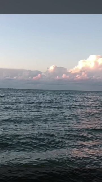 Мысли