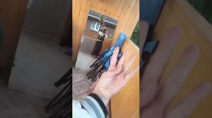 наш сад
