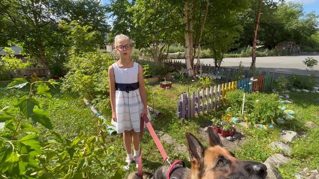 Шкарина Карина, 9 лет. Н. М. Рубцов «О собаках»