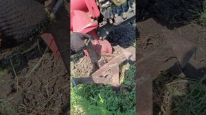 Как культивировать узкую междурядку. 
Рабочий вариант!
