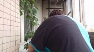 Мукбанг. Болею а кушать все равно хочется.