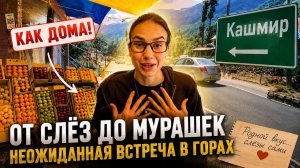 ПОСЛЕДНИЙ ДЕНЬ В КАШМИРЕ ДОВЁЛ МЕНЯ ДО СЛЁЗ