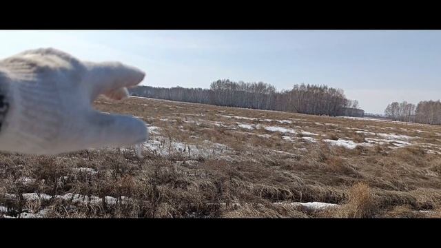 Открыл сезон 2026 / поиск монет с металлоискателем