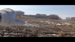 Открыл сезон 2026 / поиск монет с металлоискателем