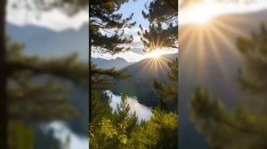 Красивая природа.Релакс.
