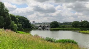 Борисовские пруды: островок тишины в большом городе. Спокойствие и релакс в каждом кадре. Лето 2026