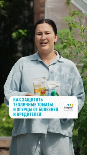 Как защитить тепличные томаты и огурцы от болезней и вредителей