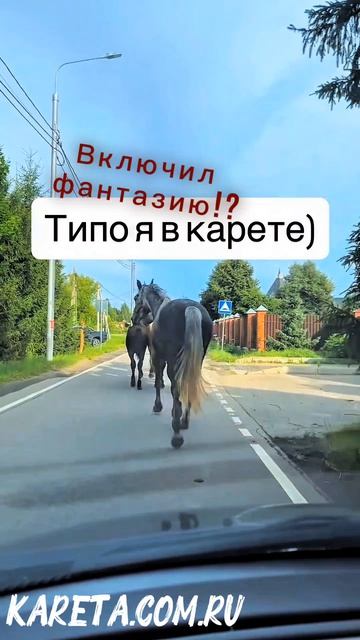 давайте вернём коней.mp4