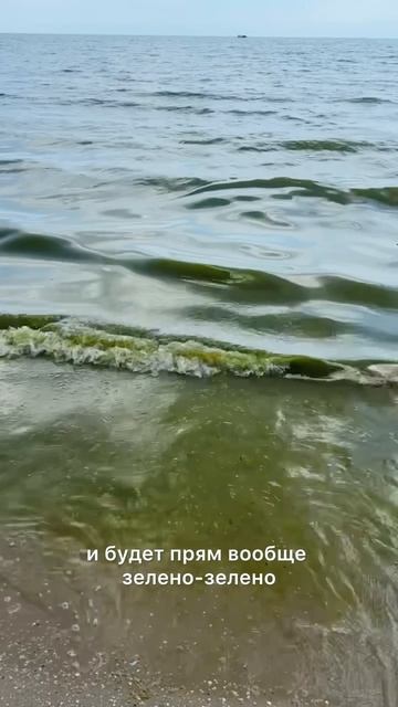 Зеленое море Анапы