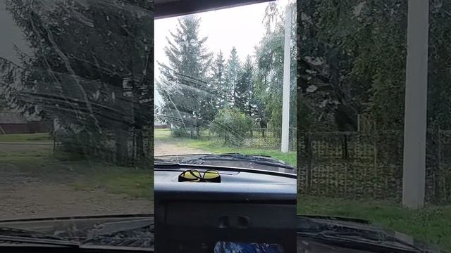 Ты посмотри,
