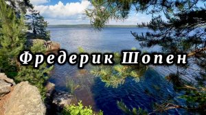 Фредерик Шопен, вальс 14, классическая музыка для души