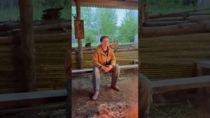 Отзыв об Институте Фитопсихлогии (1)