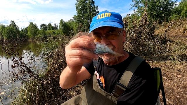 Рыбалка в июле : мусор , спавшая вода и полное отсутствие клёва.