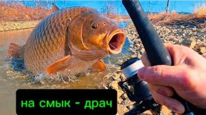 Огромные сазаны на дергач, после таких сазанов рука заболела.