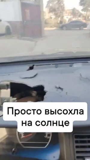 Видео от МЕТЕОР