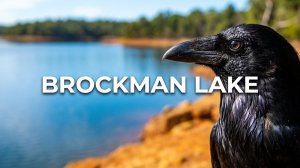Brockman Lake: Умиротворение в 4K HDR