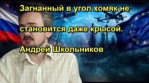 Загнанный в угол хомяк не становится даже крысой. Андрей Школьников