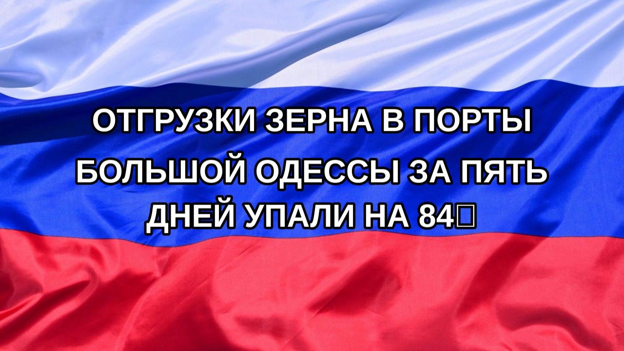 |Н. РФ| Отгрузки зерна в порты Большой Одессы за пять дней упали на 84%