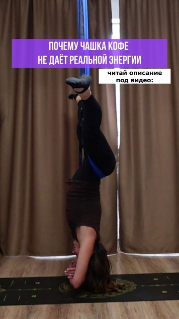 Читай здесь: