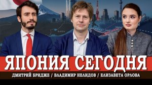 Япония сегодня: Россия, Курилы и новая Азия | Нелидов | Бридже | Орлова