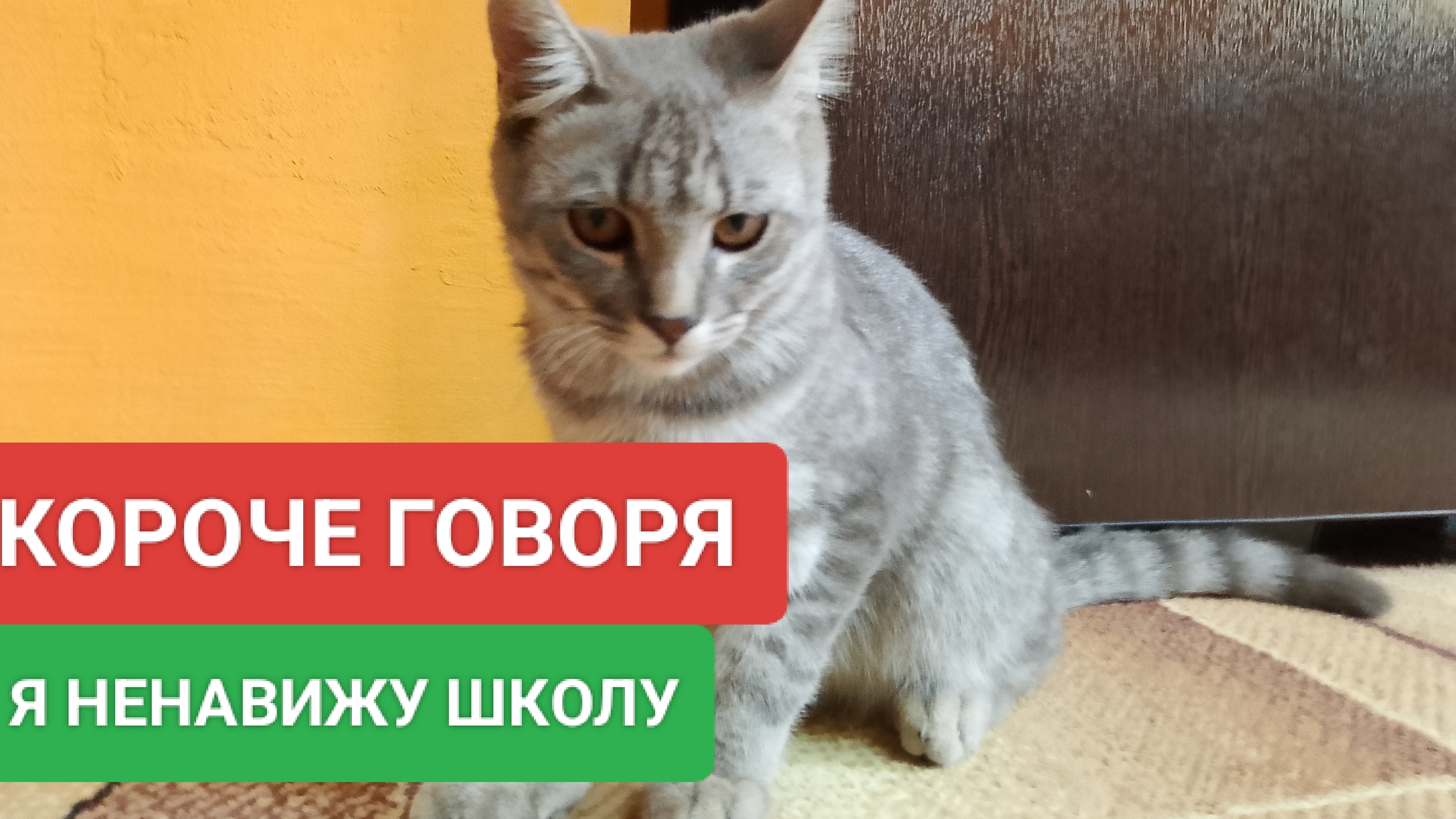 КОРОЧЕ говоря я ненавижу школу
