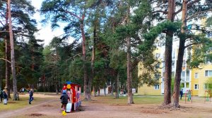 Бобачёвская роща в Твери. Первый эпизод. Субботник. Белки