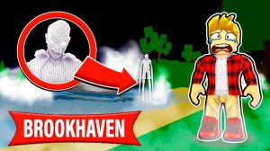 НЕ ПОВТОРЯЙТЕ эти СЕКРЕТЫ в БРУКХЕЙВЕН (Роблокс BrookHaven RP🏡)
