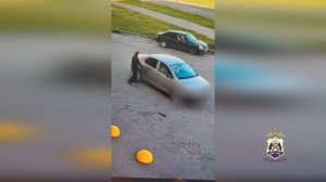 Полицейские Великого Новгорода вычислили участницу хищения 11 млн рублей у матери погибшего бойцаСВО