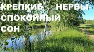 СОЛОВЕЙ. ПЕСНИ ГАРМОНИИ, СОЗДАННЫЕ ПТИЦАМИ ОЗДОРАВЛИВАЮТ НЕРВНУЮ СИСТЕМУ, СОЗДАЮТ ДУШЕВНЫЙ ПОКОЙ.