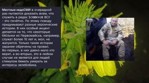 Николаев 11 августа 2026 года (новости)