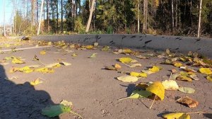RC Drift