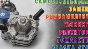 Снятие, разборка, замена ремкомплекта и установка на место газового редуктора Tomasetto Alaska AT09.