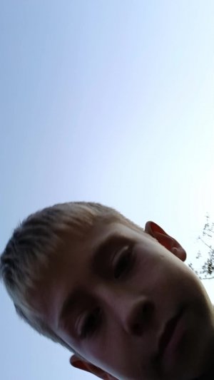 гуляем с лучшими друзьями