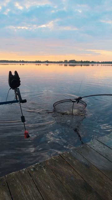🐟 ШТИЛЬ = НОЛЬ КЛЁВА? 🎣 ПОЧТИ! #ноэтонеточно