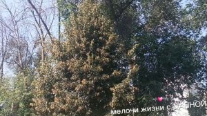Всем хорошей рабочей недели. ПРОСТО❤😘 ПО ГОРОДУ.