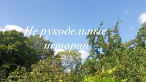 Не рукодельные истории//Продолжение дел огородных