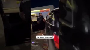Быдло