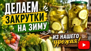 ДАЧНЫЙ ВЛОГ СОБРАЛИ УРОЖАЙ ДЕЛАЕМ ЗАКРУТКИ НА ЗИМУ