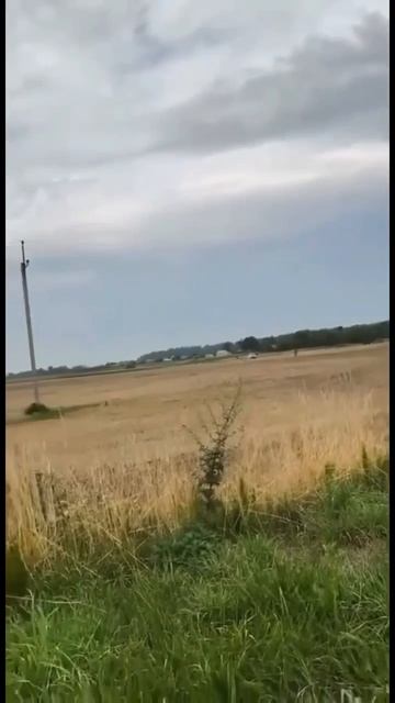 Всё пацан капэц тебе 🙈👹