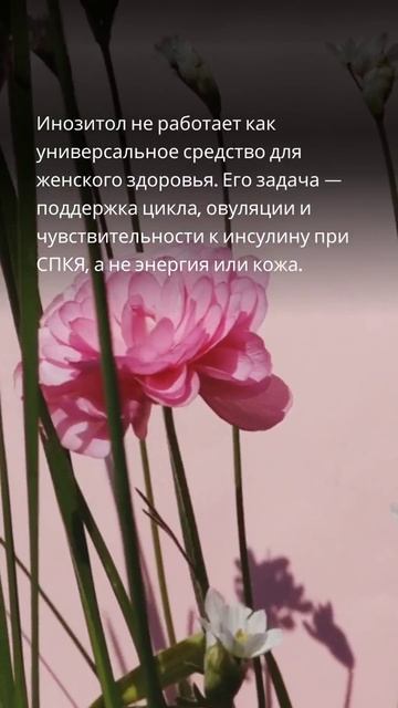 Инозитол: зачем его принимают и как понять, подходит ли он вашей задаче