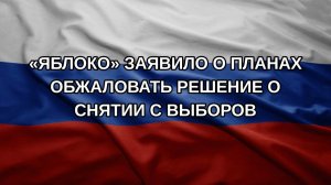 «Яблоко» заявило о планах обжаловать решение о снятии с выборов