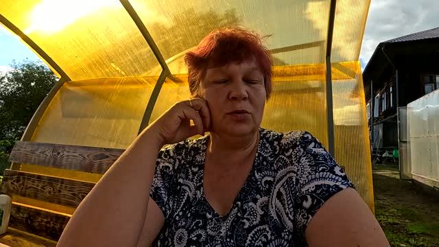Не могут найти причину... Кто-то ползает ночью в теплице...